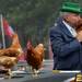 ESPN's "College GameDay" host Lee Corso kisses a chicken after selecting Notre Dame to beat Michigan during a live broadcast at Ingalls Mall on the University of Michigan campus on Saturday, September 7, 2013. Melanie Maxwell | AnnArbor.com